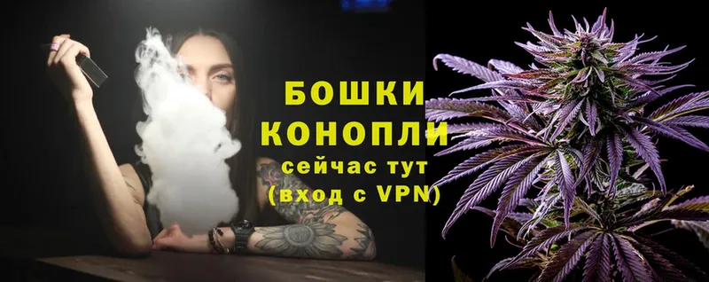 Бошки Шишки SATIVA & INDICA  Москва 